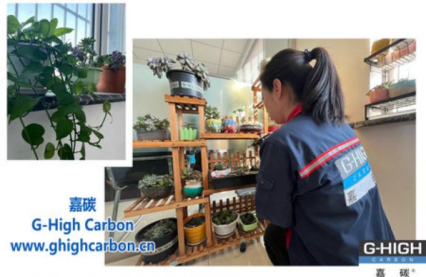 美化環(huán)境 增添趣味