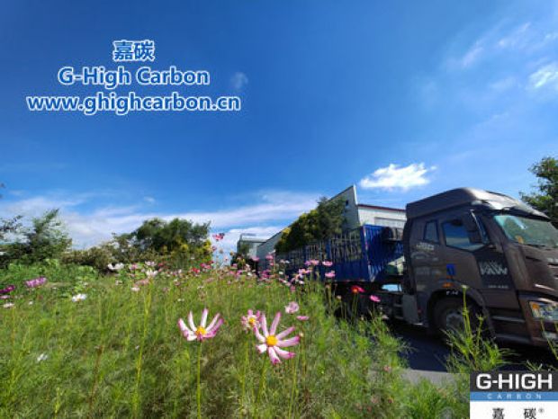 努力踐行綠色發(fā)展理念